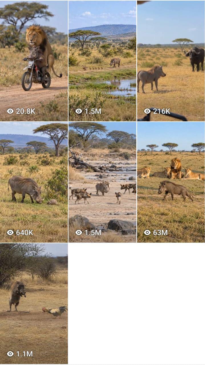 🦁 Wildlife Documentary Chase — master prompt
